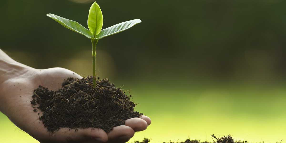 8 Advantages And Disadvantages Of Using Organic Fertilizer Soil